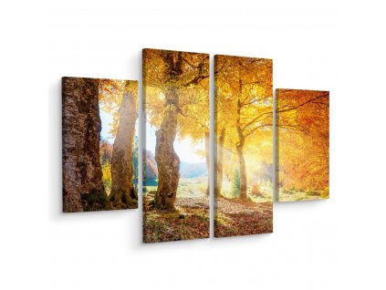 Vícedílné plátno Slunečný Podzimní Les