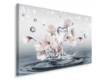 Plátno Květy Magnólie s 3D Kapkami Vody