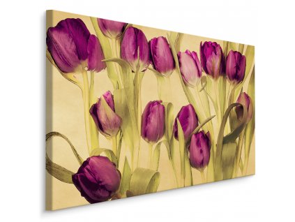 Plátno Tulipány V Retro Stylu