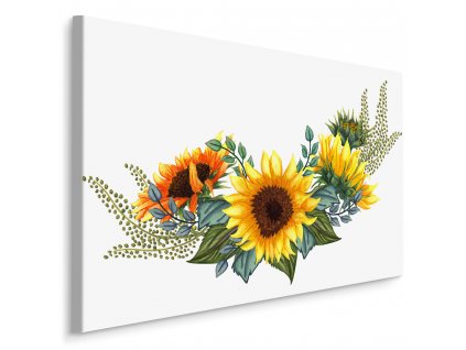 Plátno Slunečnice S Listy Na Bílém Pozadí