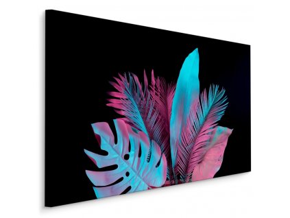 Plátno Neonové Tropické Listy Na Černém Pozadí