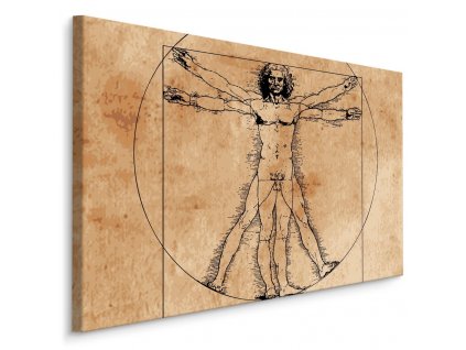 Plátno Muž Leonarda Da Vinci