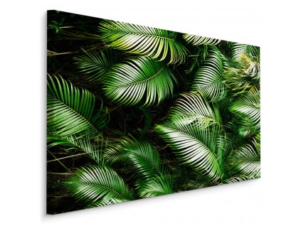 Plátno Zelené Palmové Listy