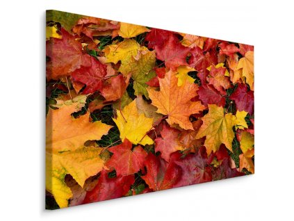 Plátno Javorové Listy V Podzimních Barvách