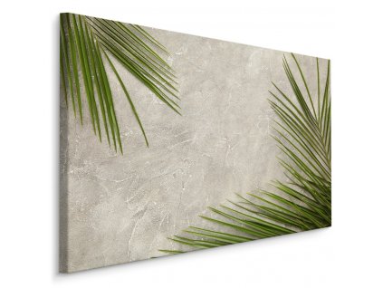 Plátno Palmové Listy Na Betonovém Pozadí