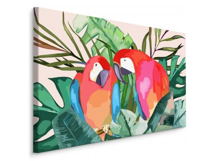 Plátno Papoušci A Tropické Listy