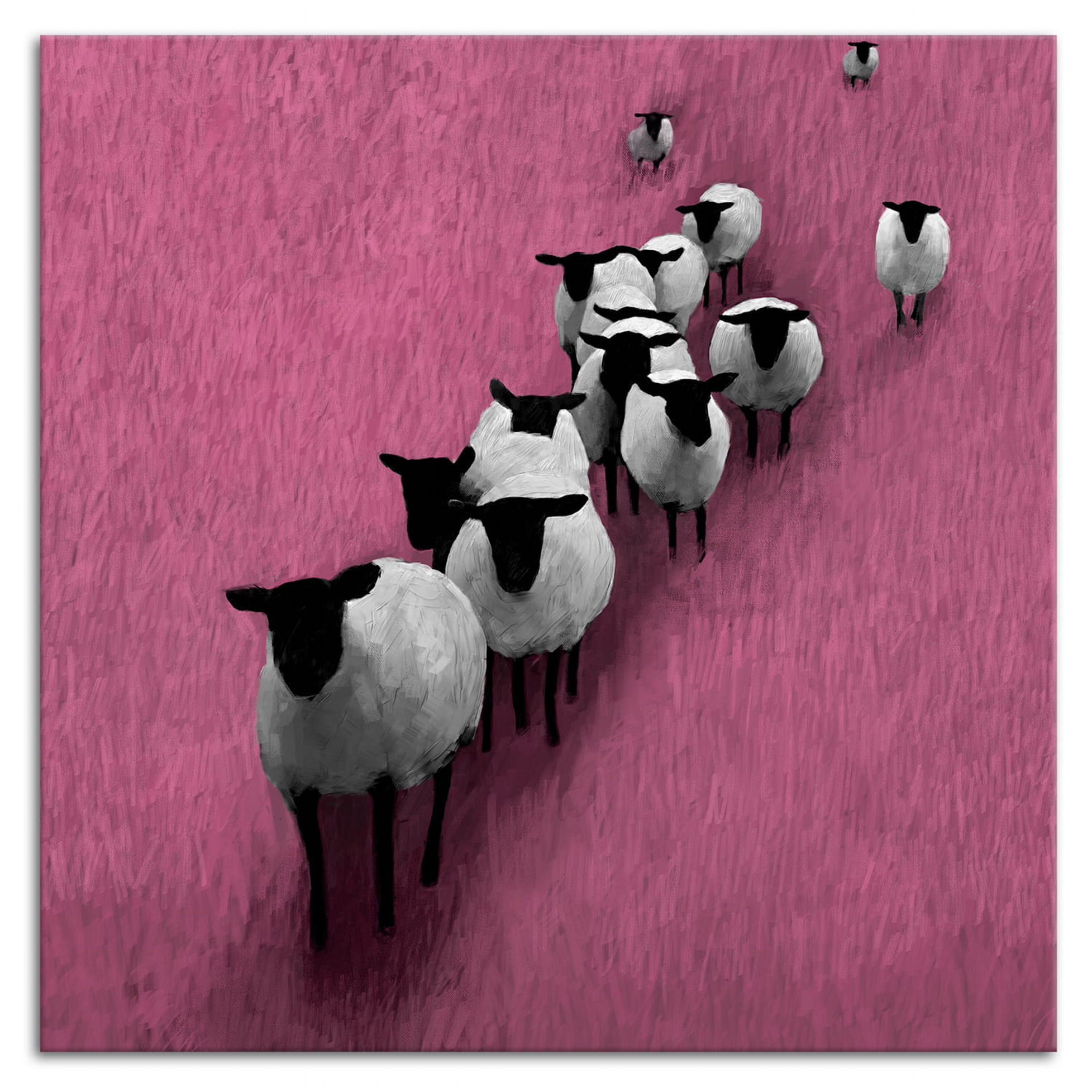 Obraz na plátně SHEEP B různé rozměry Ludesign ludesign obrazy: 80x80 cm