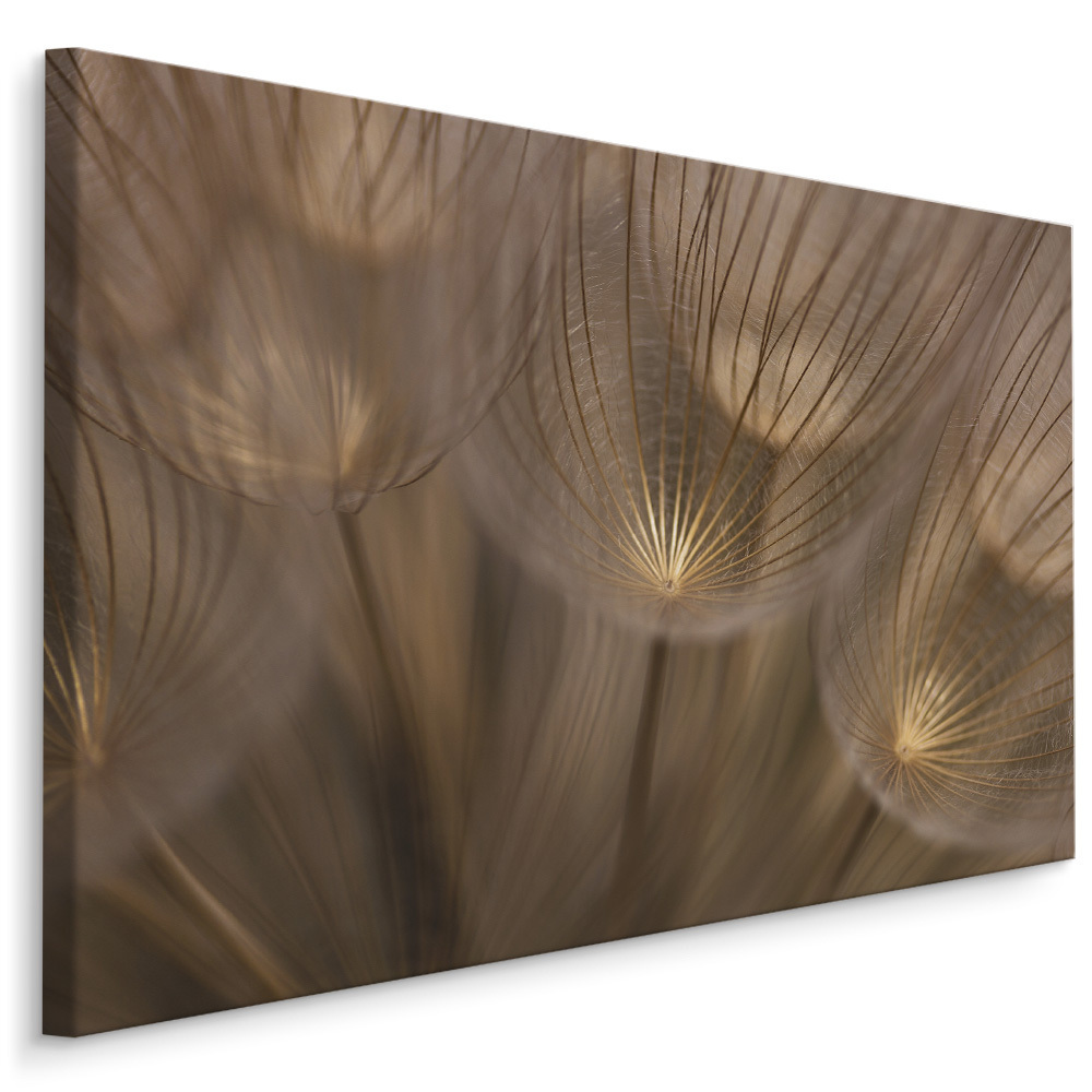 Plátno Odkvétající Pampeliška IV. Varianta: 100x70