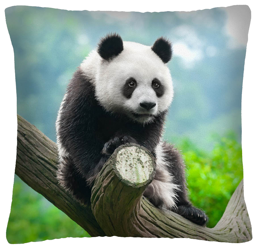 Polštář ANIMAL 29 - PANDA Mybesthome 40x40 cm Varianta: Povlak na polštář s antialergickou prošívanou výplní, 40x40 cm