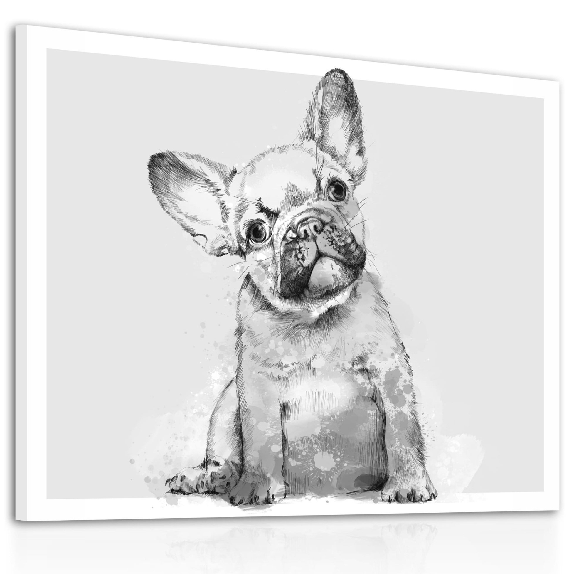 Obraz na plátně FRENCH BULLDOG A různé rozměry Ludesign ludesign obrazy: 80x60 cm