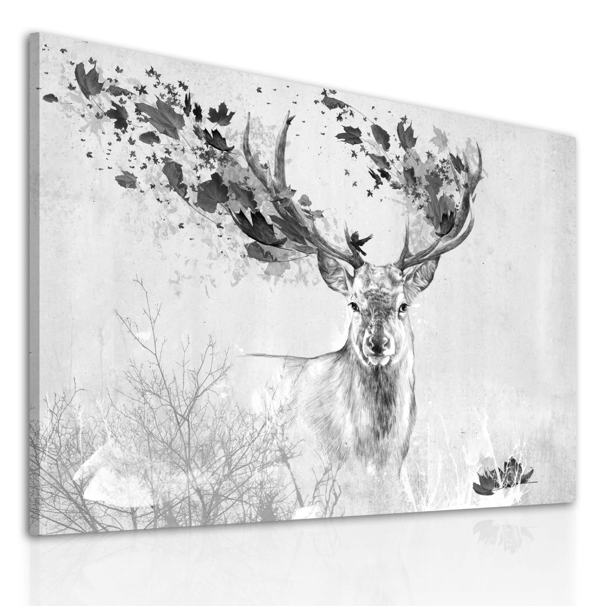 Obraz na plátně DEER DREAMS COLOR K různé rozměry Ludesign ludesign obrazy: 80x60 cm