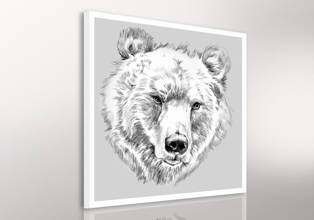 Obraz na plátně BEAR A různé rozměry Ludesign ludesign obrazy: 80x80 cm