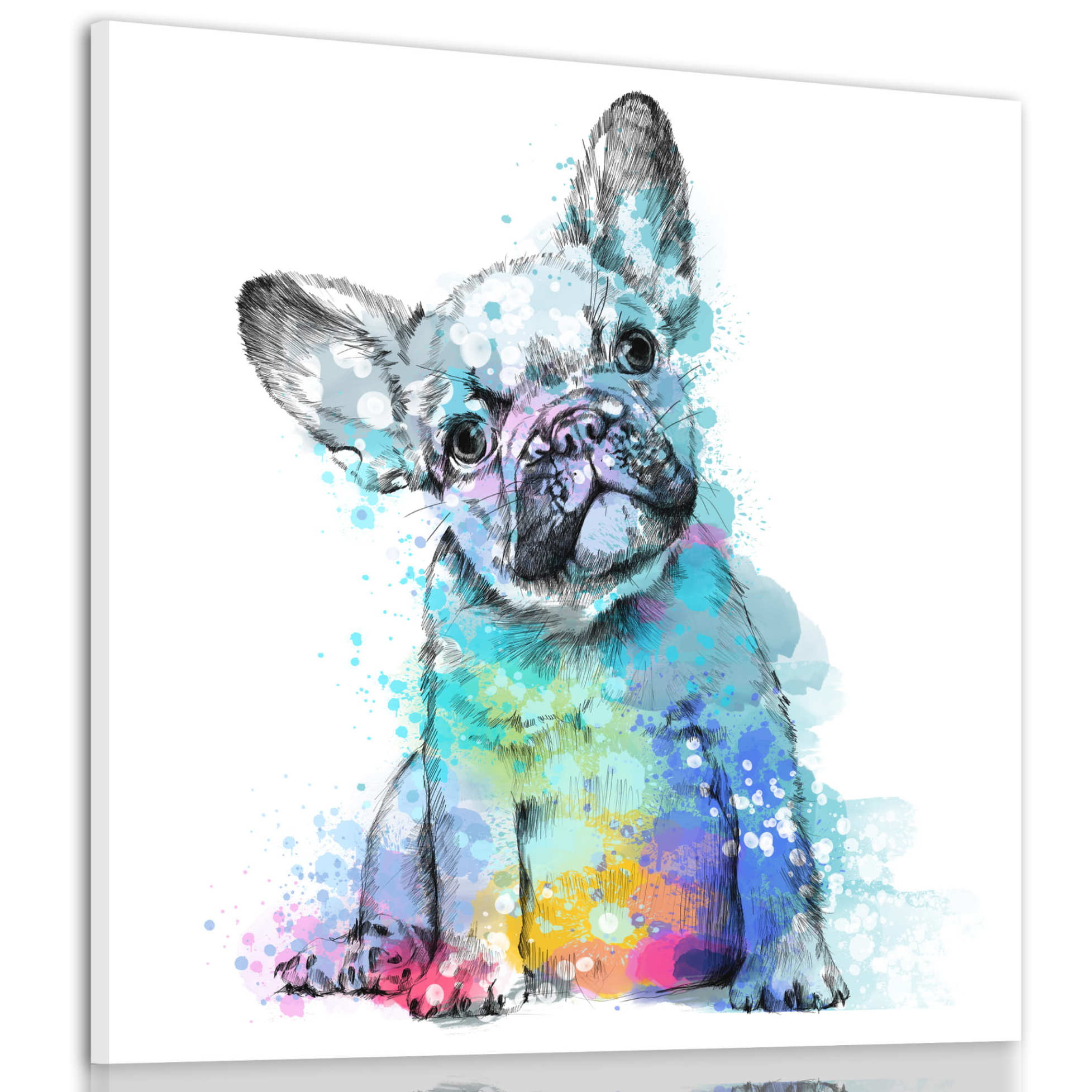 Obraz na plátně FRENCH BULLDOG B různé rozměry Ludesign ludesign obrazy: 50x50 cm