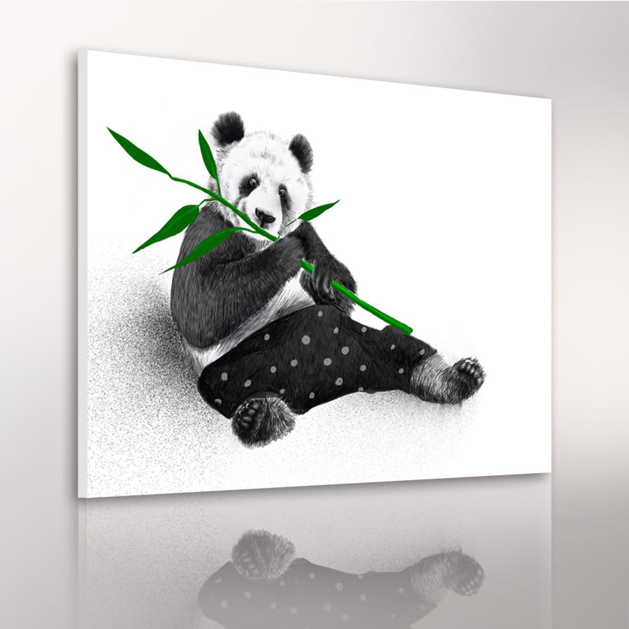 Obraz na plátně PANDA různé rozměry Ludesign ludesign obrazy: 100x80 cm