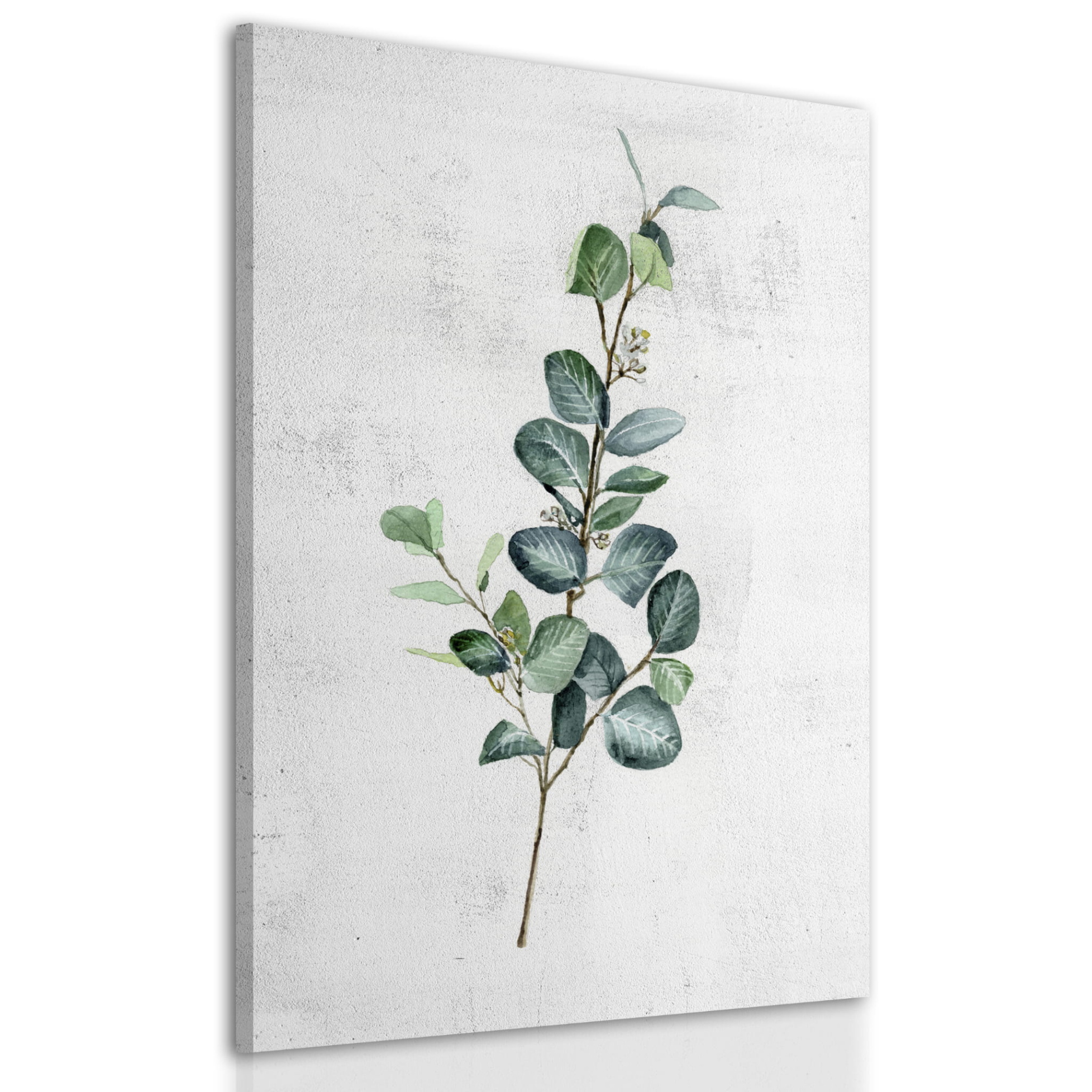 Obraz na plátně EUCALYPTUS A různé rozměry Ludesign ludesign obrazy: 40x60 cm