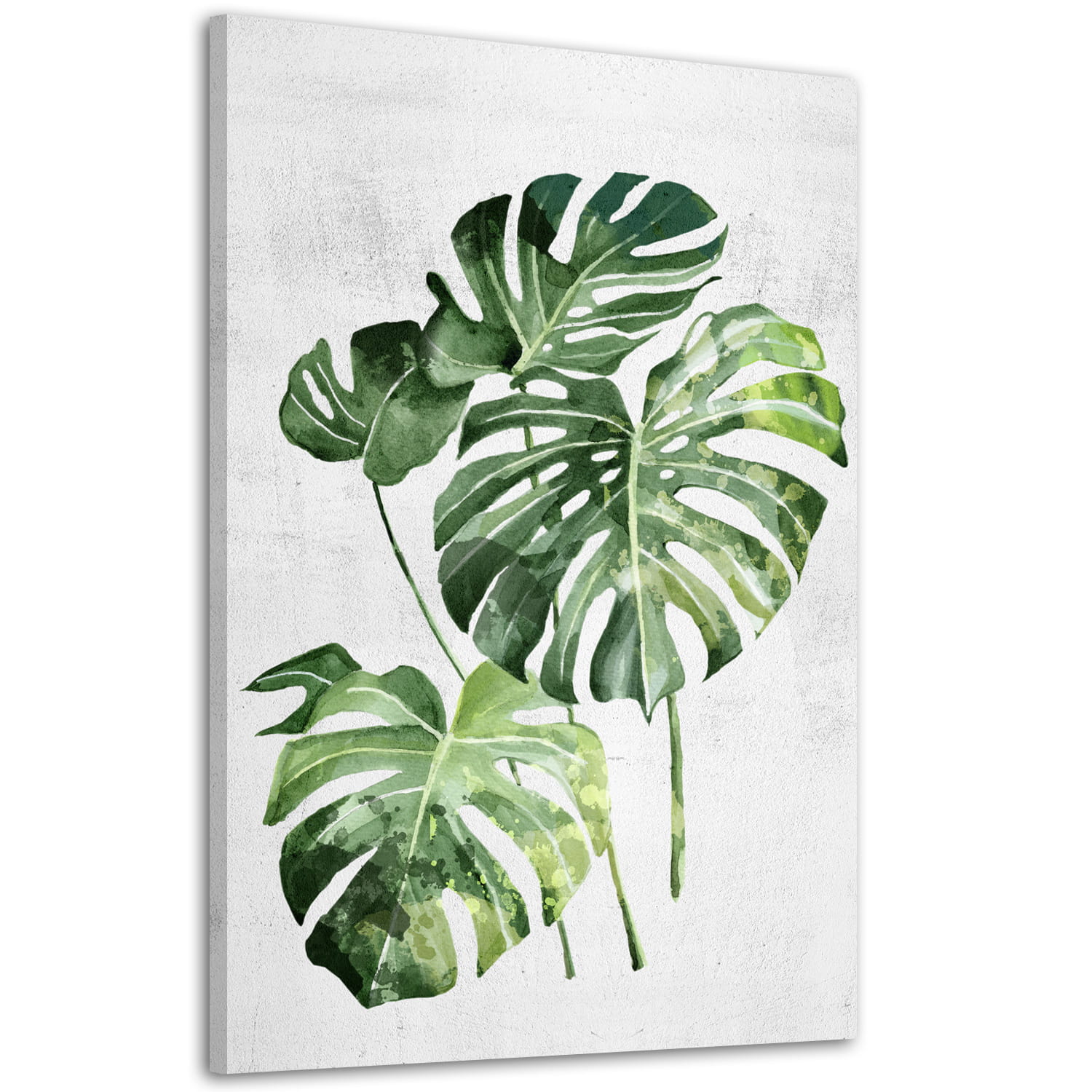 Obraz na plátně MONSTERA A různé rozměry Ludesign ludesign obrazy: 70x50 cm