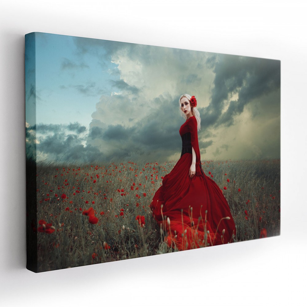 Obraz na plátně RED 120x80 cm Mybesthome