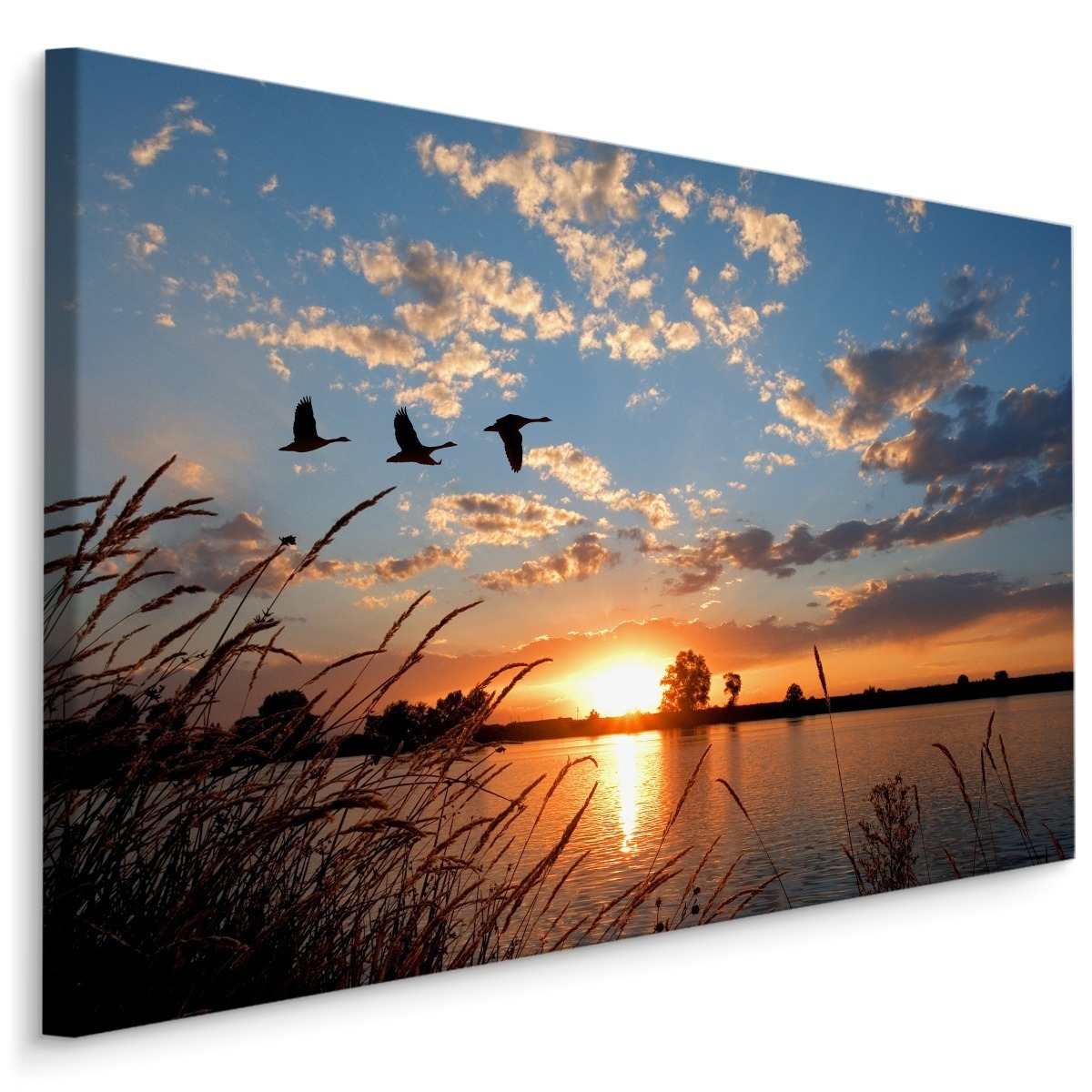 MyBestHome BOX Plátno Ptáci Při Západu Slunce Varianta: 40x30
