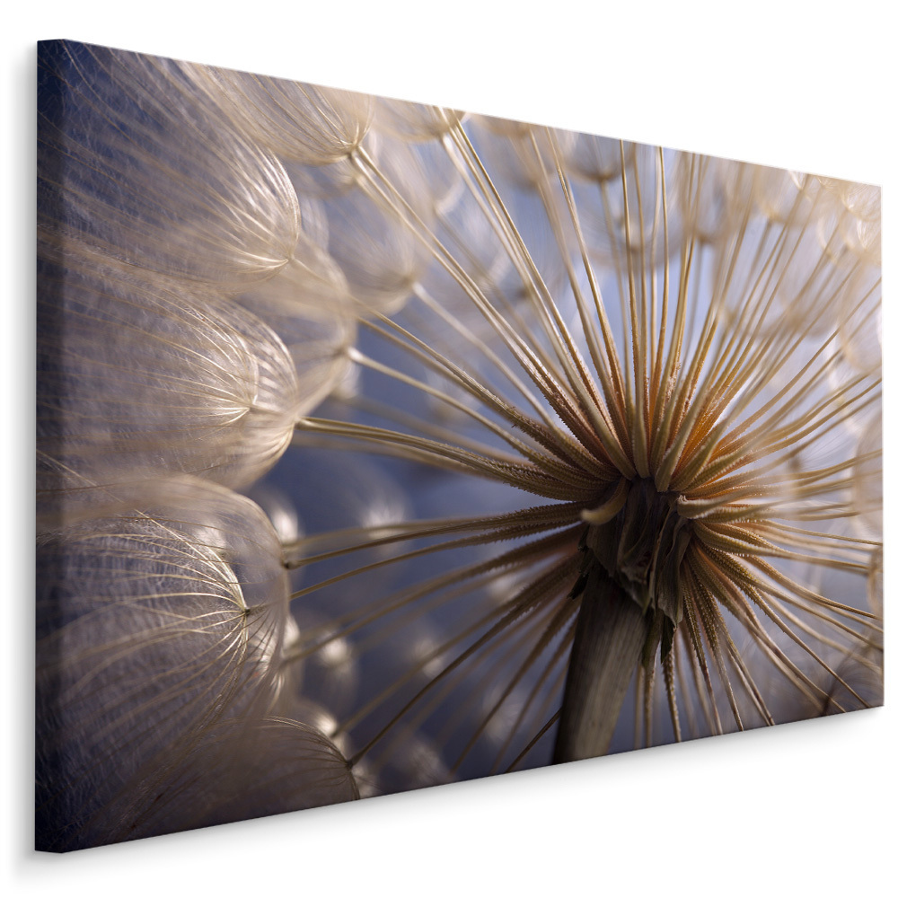 Plátno Pampeliška Makro I. Varianta: 100x70