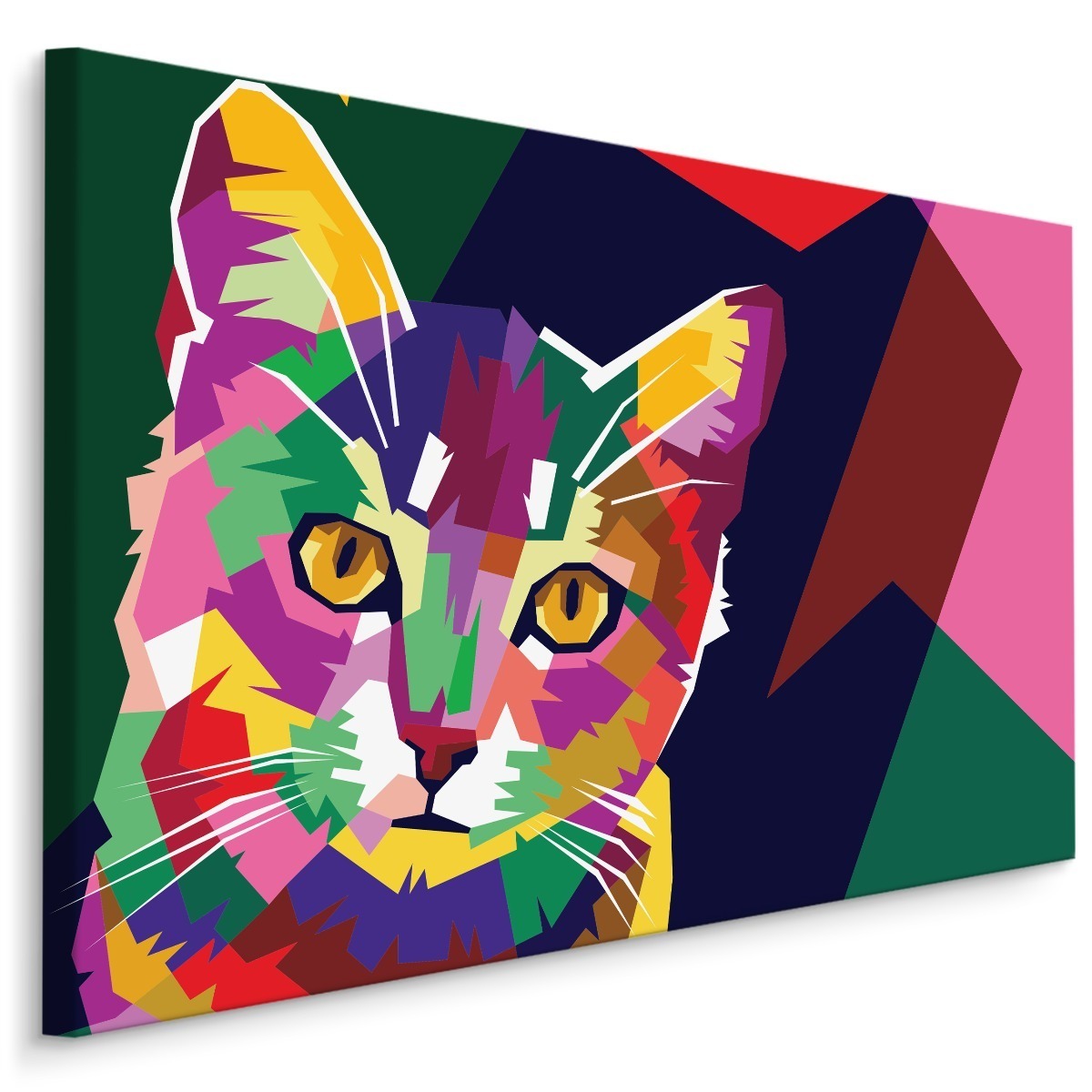 MyBestHome BOX Plátno Barevná Abstraktní Kočka Varianta: 30x20