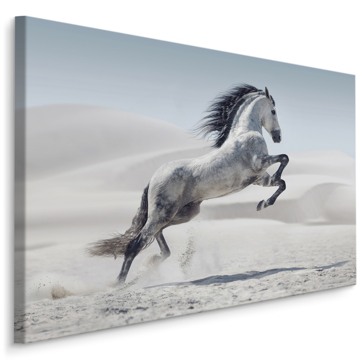 MyBestHome BOX Plátno Kůň V Poušti Varianta: 90x60