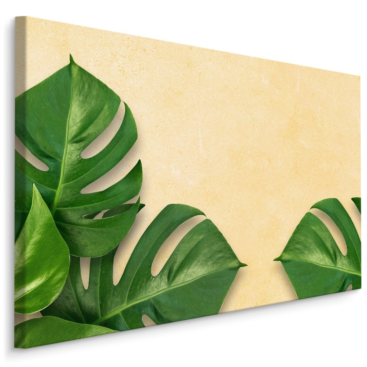 MyBestHome BOX Plátno Monstera Listy Na Béžovém Pozadí Varianta: 90x60