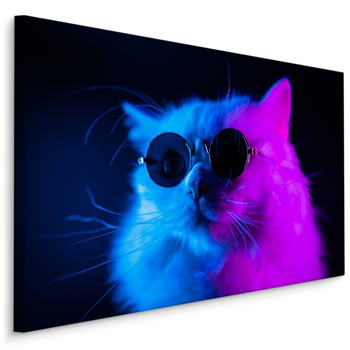 MyBestHome BOX Plátno Kočka Se Slunečními Brýlemi Varianta: 90x60