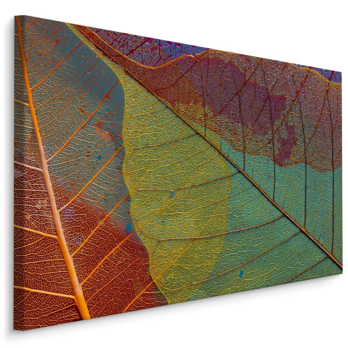 MyBestHome BOX Plátno Barevné Listí V Makro Měřítku Varianta: 90x60