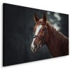 Plátno Kůň Na Pozadí Lesa 40x30 cm