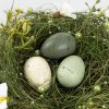 Velikonoční dekorace | EASTER JOY | hnízdo | 17x17x8,5 cm | 725586