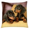 Polštář s motivem psa 21 Mybesthome 40x40 cm