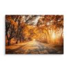 Plátno Cesta V Podzimním lese I.