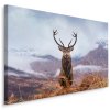 Plátno Jelen A Zimní Hory