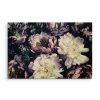 Plátno Pivoňky V Tmavých Barvách
