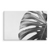 Plátno List Monstera V Černobílém Provedení