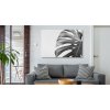 Plátno List Monstera V Černobílém Provedení