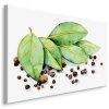 Plátno Bobkové Listy S Kořením