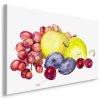 93346 platno letni ovoce malovane akvarelem