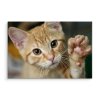 Plátno 3D Kotě