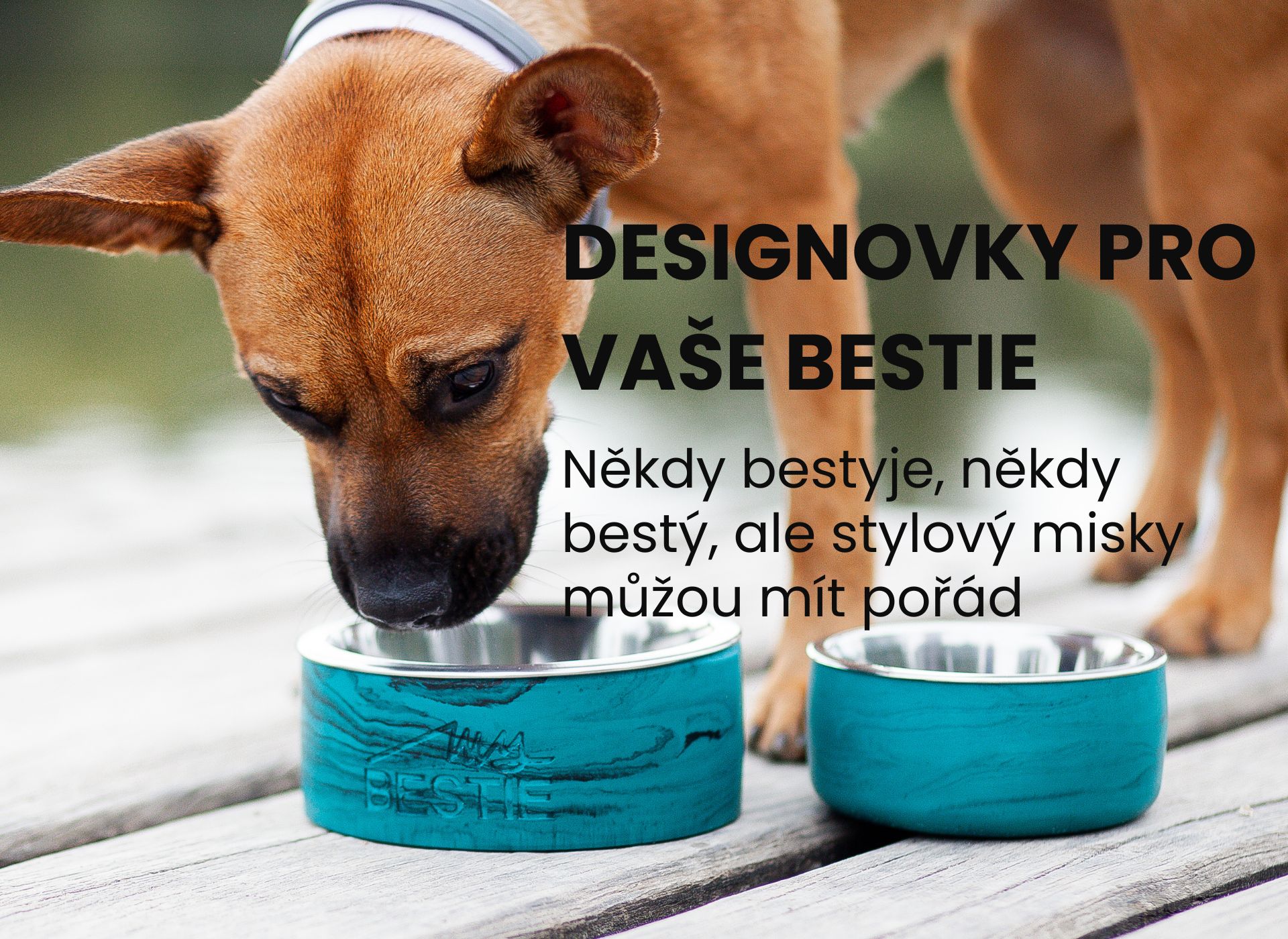 DESIGNOVKY NEJEN PRO VAŠE BESTIE