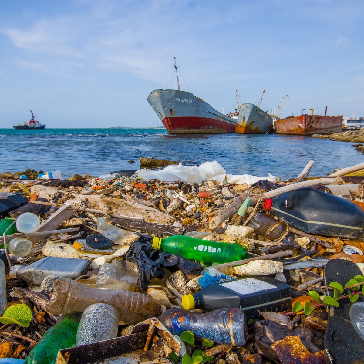 Vliv jednorázových plastů na životní prostředí