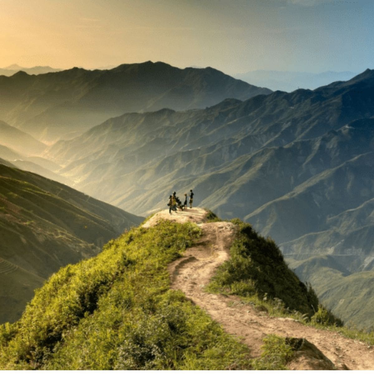 Ekologické projekty, díky kterým MyBottle mění svět k lepšímu