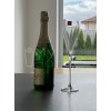 Sklenice na šampaňské RONA GRACE Champagne Flute 2 ks - 280 ml