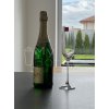 Sklenice na šampaňské RONA PRESTIGE Champagne Flute 6 ks - 210 ml