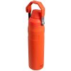 Nerezová láhev STANLEY The Aerolight™ IceFlow™ Water Bottle Fast Flow - Tigerlily 600 ml