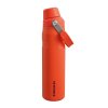 Nerezová láhev STANLEY The Aerolight™ IceFlow™ Water Bottle Fast Flow - Tigerlily 600 ml