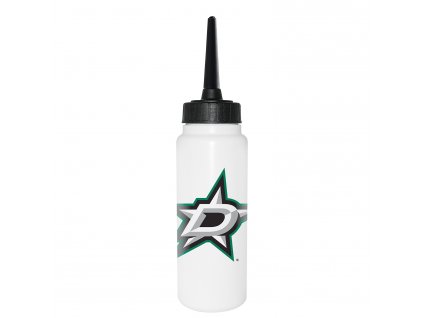 Dallas Stars
