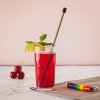 Nerezová slamka LUND LONDON Straw For Life - Rainbow