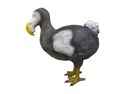 Eleven Target 3D Dodo