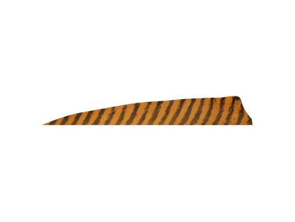 Gateway Feather 4" Shield RW Barred